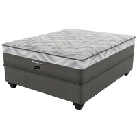 Load image into Gallery viewer, Double_Standard Length
